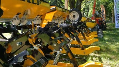 izlogenie-ru-freza16