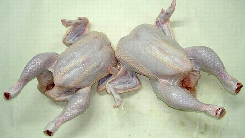 Няма замърсено с фипронил пилешко месо на българския пазар, съобщава Българска агенция по безопасност на храните.