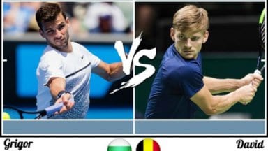 gr_dimitrov_goffin88