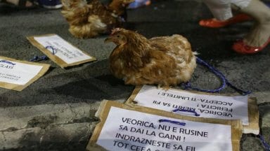 bucharest_protest-12-august12