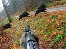 Ловът на дивеч ще бъде забранен в деня на изборите