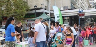 Русе спаси от изсичане 182 дървета