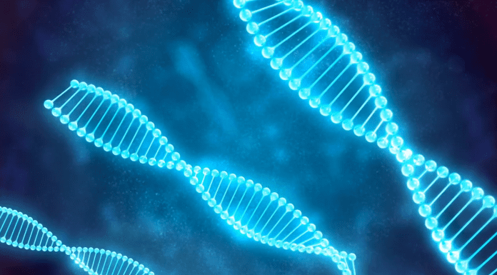 Новост при ДНК анализите помага на правоприлагащите органи