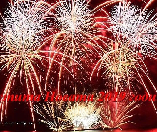 Новата 2019 година