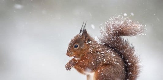 Затопляне преди Коледа и студ по Нова година
