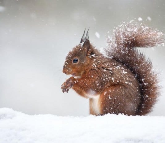 Затопляне преди Коледа и студ по Нова година
