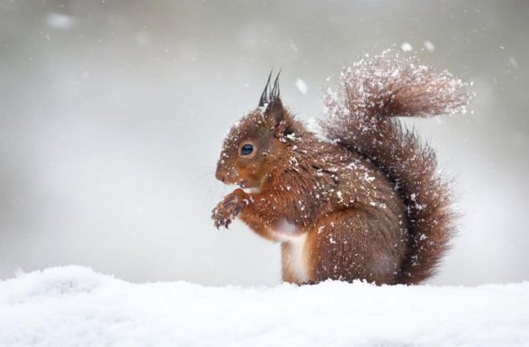 Затопляне преди Коледа и студ по Нова година