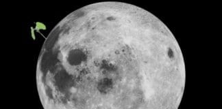 Какво се случи с покълналия памук на Луната?