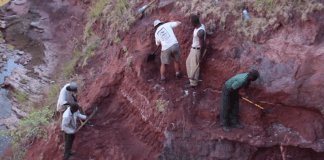 Откриха скелет на динозавър до река в Танзания