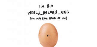 Яйцето рекордьор в Instagram се пукна – каква е причината?