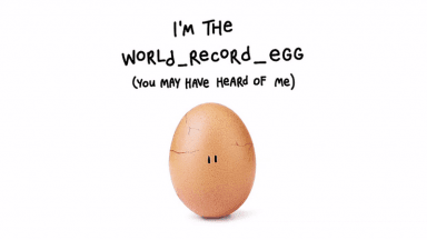 egg