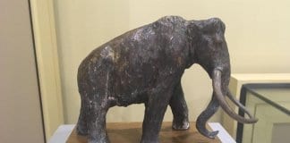 Ученици ще изграждат колиби с макети на мамутски кости