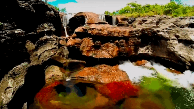 Caño Cristales