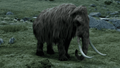Mammoth