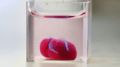3D print of a heart