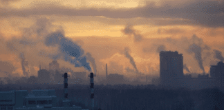 Учени: Мръсният въздух ни прави и по-агресивни