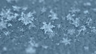 snowing