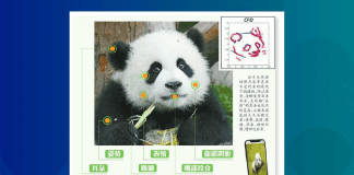 panda facial recognition