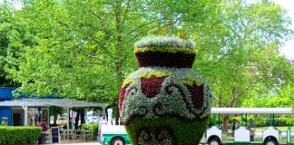 30 000 цветя красят