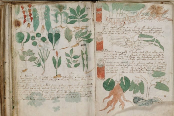 voynich manuscript