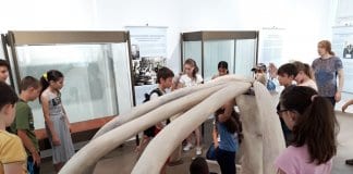 Ученици строиха колиба от макети на мамутски кости