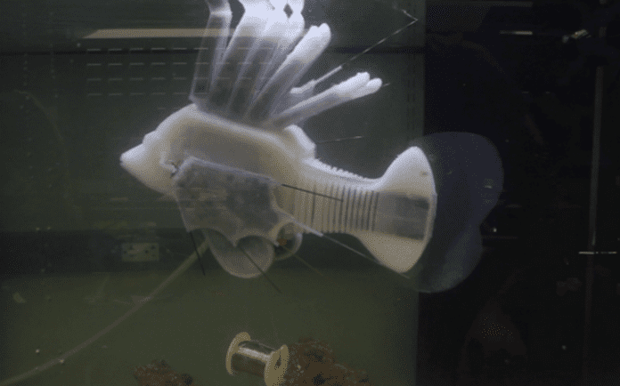 Създадоха риба робот, захранвана с изкуствена кръвоносна система