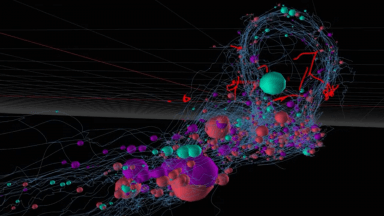 Complete Nervous System Wiring Map of an Animal