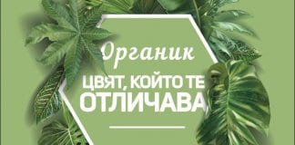 „Оргахим“ представя цвета на 2019-та