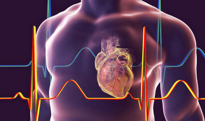 Учени откриха клетки, които лекуват сърцето