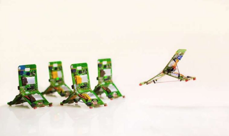 Роботизирани мравки работят с колективен ум