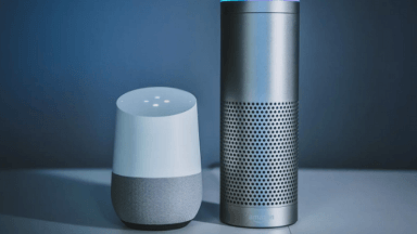 voice assistant