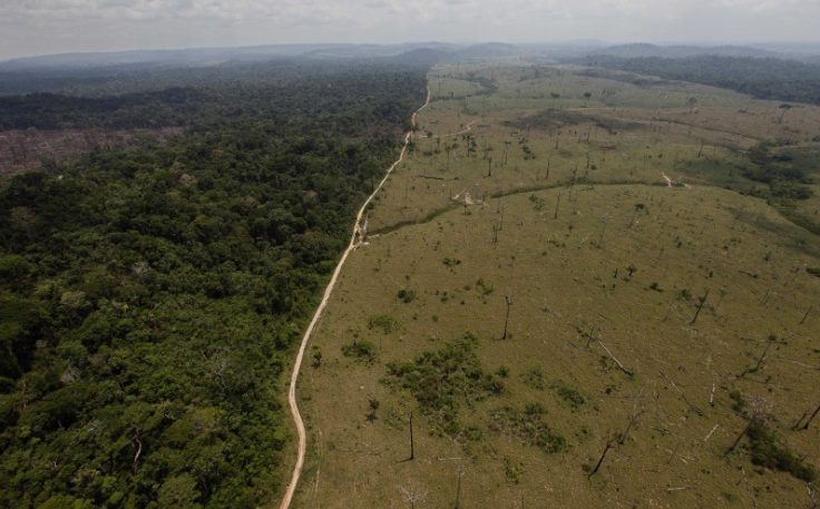 NASA: Дъждовните гори на Амазонка изсъхват