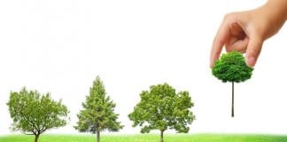 Деца от Русе ще засадят над 2000 нови дръвчета