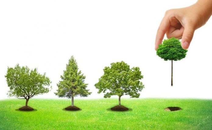 Деца от Русе ще засадят над 2000 нови дръвчета