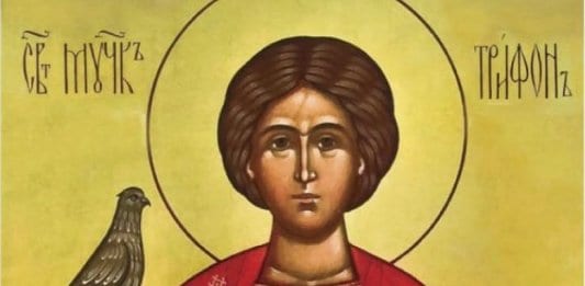 Почитаме Св. Трифон, покровител на лозари, градинари и кръчмари