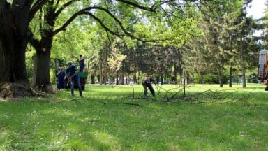 park-rezitba-kloni03