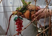 Днес празнуваме Деня на лозаря, зарязваме лозята