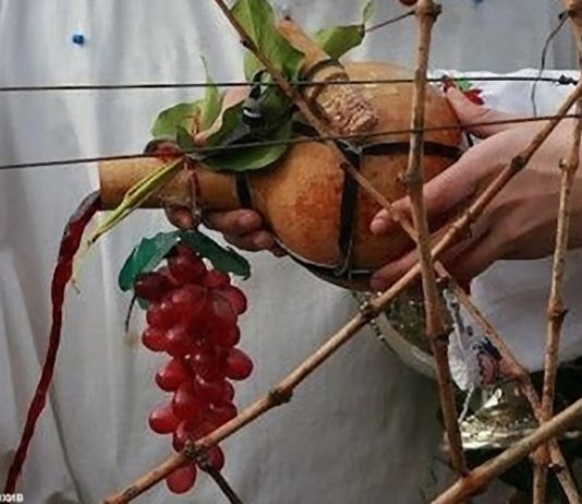 Днес празнуваме Деня на лозаря, зарязваме лозята