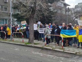 консулство протест