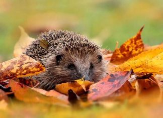 Слънчев и топъл ноември прогнозират метеоролозите