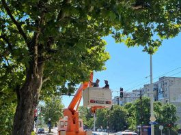 Санитарна резитба затваря за ден част от ул. „Страхил Войвода“ в Русе