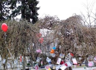 Дървото на влюбените в Русе ще „разцъфне“ в благотворителна кауза