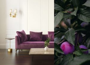 Midnight Plum
