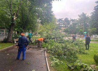 Отстраняват щетите след снощната буря в Русе