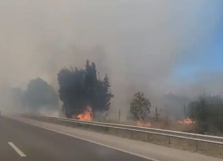 Отново затвориха АМ „Хемус“ край Варна