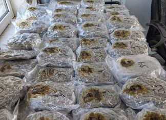 Марихуана за 300 000 лева откриха в газови бутилки на ГКПП Лесово /ВИДЕО/