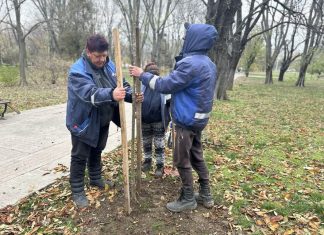 Засадиха 20 нови дръвчета в Парка на възрожденците