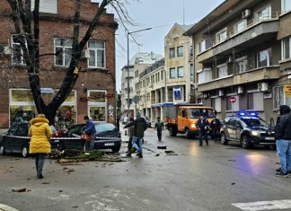 Дърво рухна върху кола в центъра на Русе