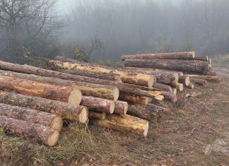 Над 25 000 проверки в горите на Централна Северна България през 2024 г.