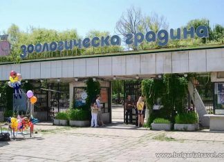 От днес: По-високи цени на билетите в софийския зоопарк